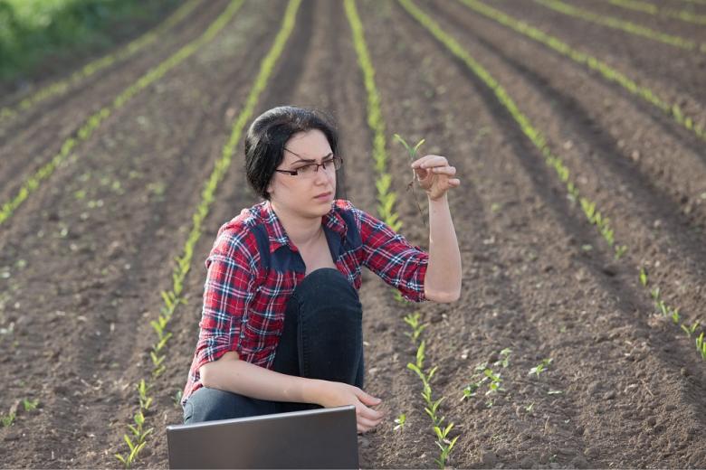 Аграрии просят изменить работу информационных систем в АПК